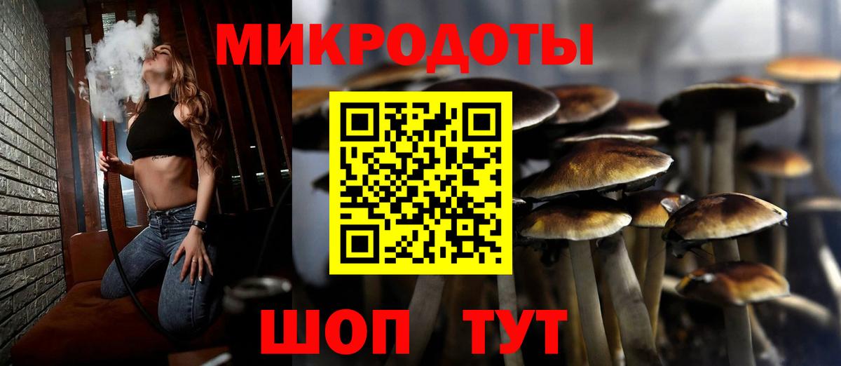 Заволжье  Псилоцибиновые грибы прущие грибы  Вход с VPN 